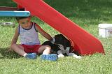 ENFANT ET CHIEN 535